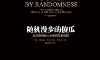 《随机漫步的傻瓜》PDF|ePub|mobi|azw3电子书下载