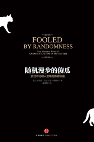 《随机漫步的傻瓜》PDF|ePub|mobi|azw3电子书下载
