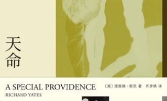 《天命》PDF|ePub|mobi|azw3电子书下载