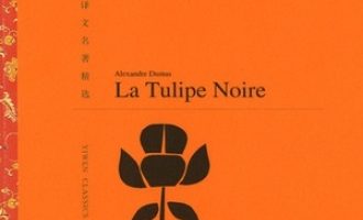 《黑郁金香》PDF|ePub|mobi|azw3电子书下载