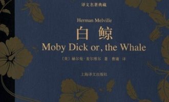 《白鲸》PDF|ePub|mobi|azw3电子书下载