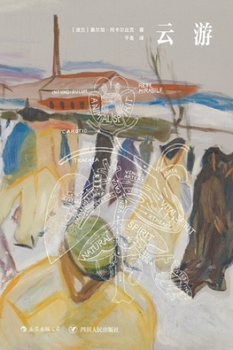 《云游》PDF|ePub|mobi|azw3电子书下载