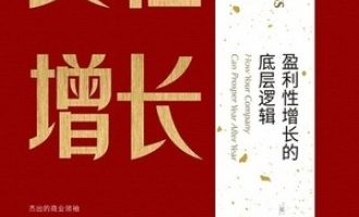 《良性增长：盈利性增长的底层逻辑》PDF电子书下载