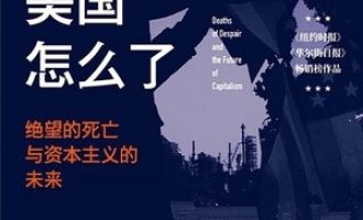 《美国怎么了》PDF|ePub|mobi|azw3电子书下载