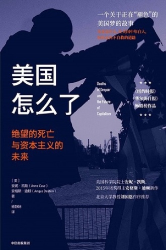 《美国怎么了》PDF|ePub|mobi|azw3电子书下载