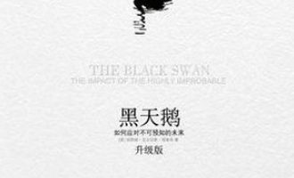 《黑天鹅》PDF|ePub|mobi|azw3电子书下载