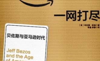 《一网打尽》PDF|ePub|mobi|azw3电子书下载