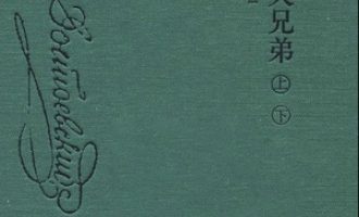 《卡拉马佐夫兄弟》套装上下册PDF|ePub|mobi|azw3电子书下载