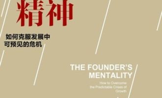《创始人精神》PDF|ePub|mobi|azw3电子书下载