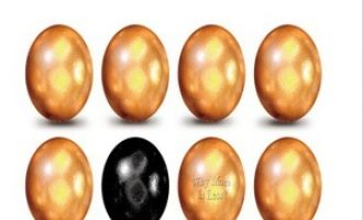 《选择的悖论》PDF|ePub|mobi|azw3电子书下载