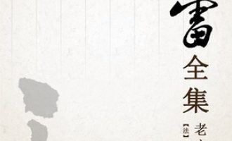 《老实人》PDF|ePub|mobi|azw3电子书下载