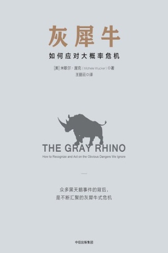 《灰犀牛》PDF|ePub|mobi|azw3电子书下载