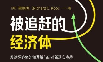 《被追赶的经济体》PDF|ePub|mobi|azw3电子书下载