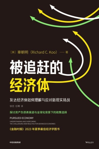 《被追赶的经济体》PDF|ePub|mobi|azw3电子书下载
