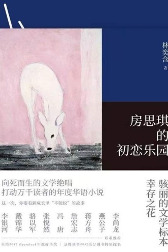 《房思琪的初恋乐园》PDF|ePub|mobi|azw3电子书下载