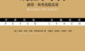 《战胜华尔街》PDF|ePub|mobi|azw3电子书下载