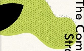 《只爱陌生人》PDF|ePub|mobi|azw3电子书下载