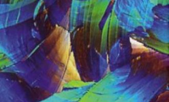 《茵梦湖》PDF|ePub|mobi|azw3电子书下载