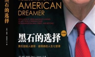 《黑石的选择》PDF|ePub|mobi|azw3电子书下载