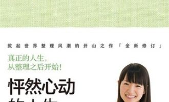 《怦然心动的人生整理魔法》PDF电子书下载
