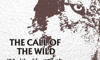 《野性的呼唤》PDF|ePub|mobi|azw3电子书下载