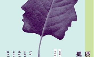 《质数的孤独》PDF|ePub|mobi|azw3电子书下载