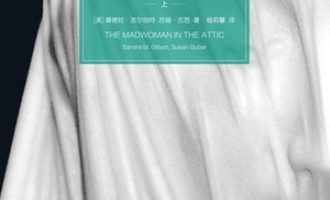 《阁楼上的疯女人》PDF|ePub|mobi|azw3电子书下载