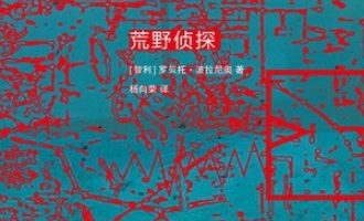 《荒野侦探》PDF|ePub|mobi|azw3电子书下载