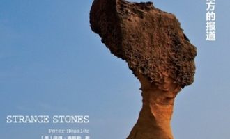 《奇石》PDF|ePub|mobi|azw3电子书下载