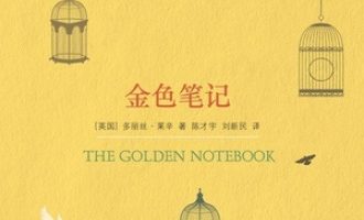 《金色笔记》PDF|ePub|mobi|azw3电子书下载