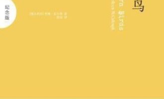 《荆棘鸟》PDF|ePub|mobi|azw3电子书下载